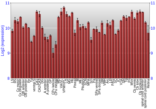 Expression graph