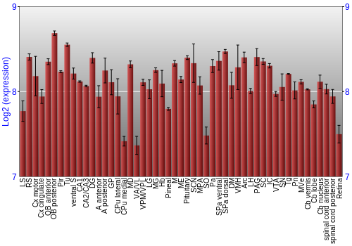 Expression graph