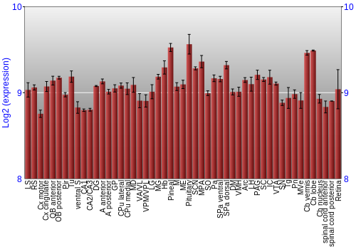 Expression graph