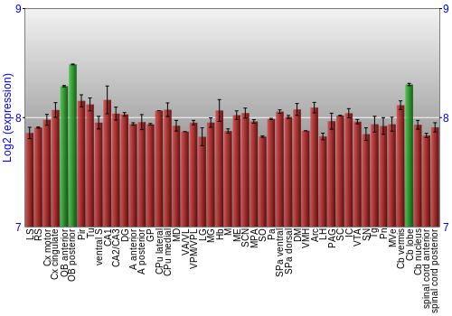 Multi-state expression graph