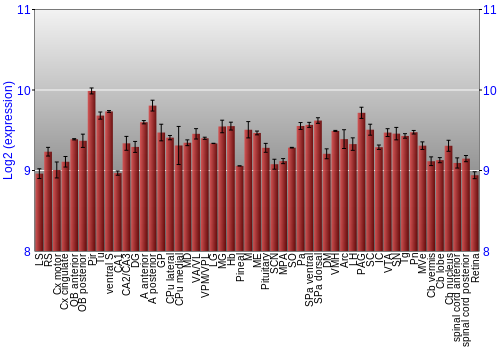 Expression graph