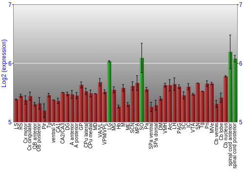 Multi-state expression graph