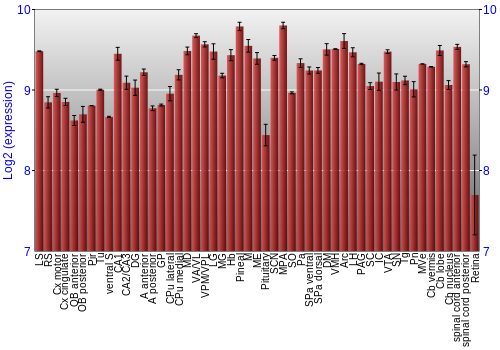 Expression graph