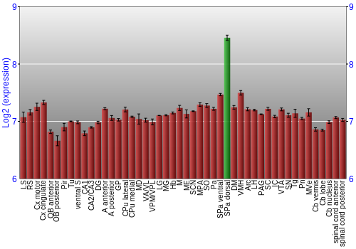 Multi-state expression graph