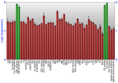 Multi-state expression graph