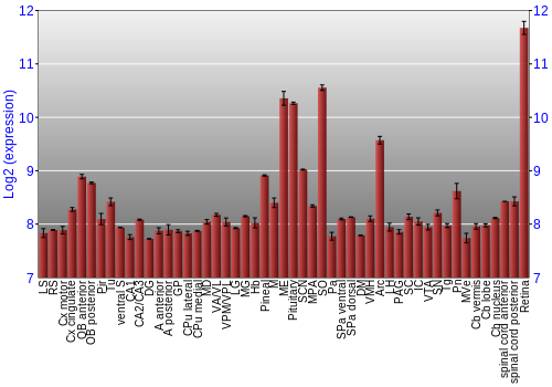 Expression graph
