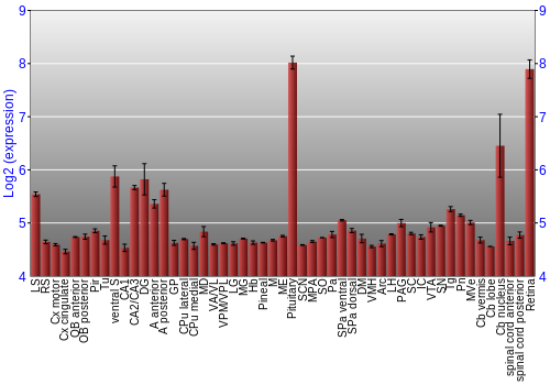 Expression graph