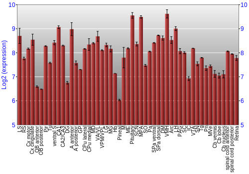 Expression graph