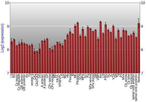 Expression graph