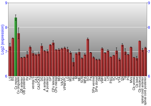 Multi-state expression graph