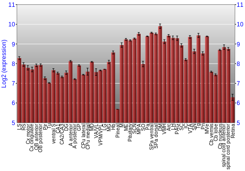 Expression graph