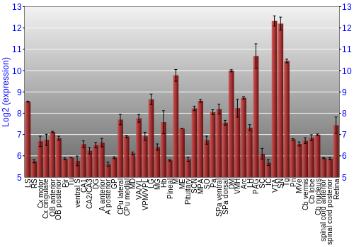 Expression graph