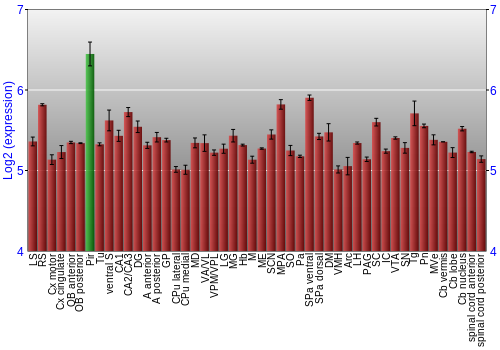 Multi-state expression graph