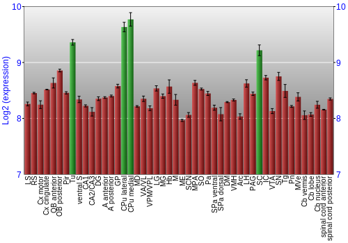 Multi-state expression graph