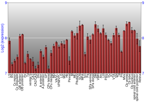 Expression graph