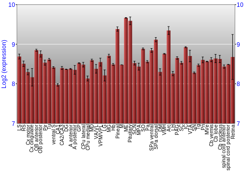 Expression graph