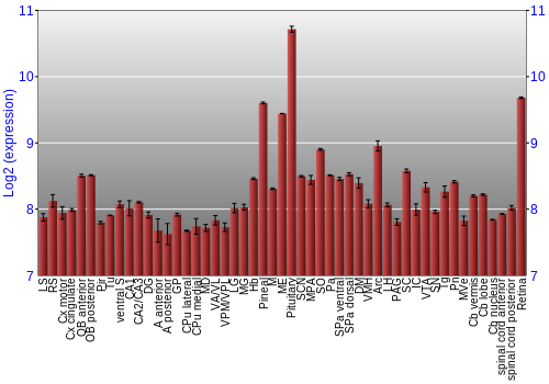 Expression graph