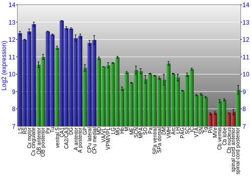 Multi-state expression graph