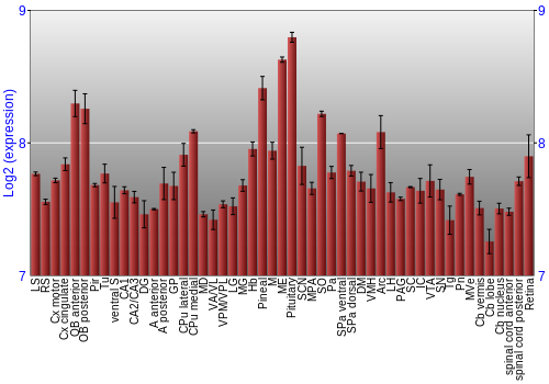 Expression graph