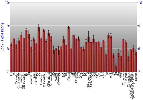 Expression graph
