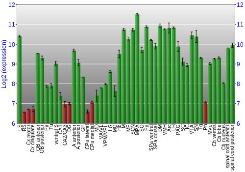Multi-state expression graph