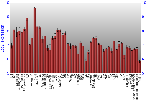 Expression graph