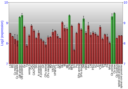 Multi-state expression graph