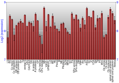 Expression graph