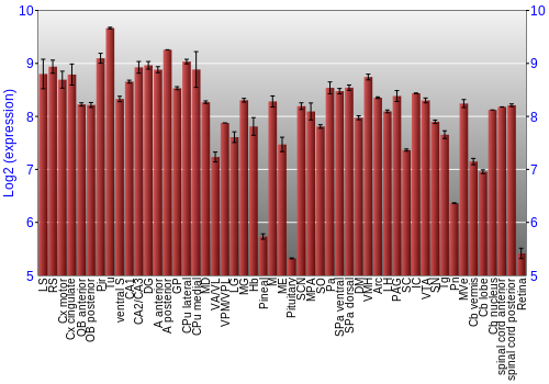 Expression graph