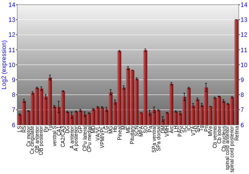 Expression graph