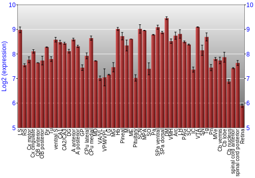Expression graph