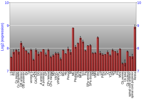 Expression graph