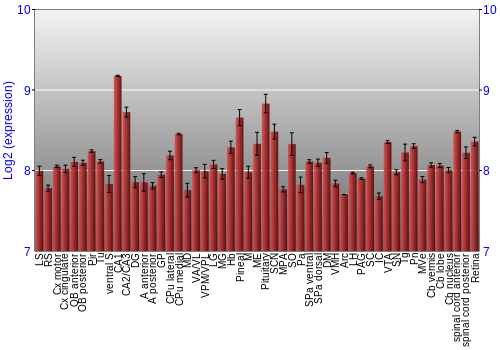 Expression graph