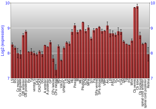 Expression graph