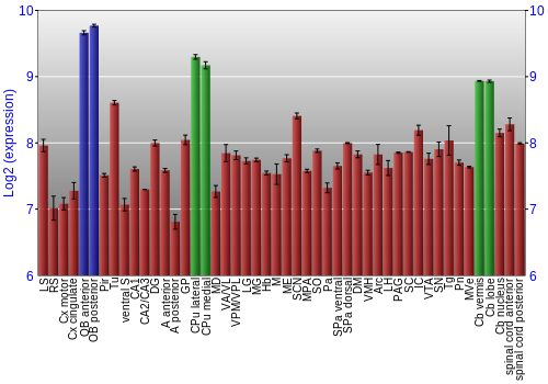 Multi-state expression graph