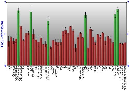 Multi-state expression graph