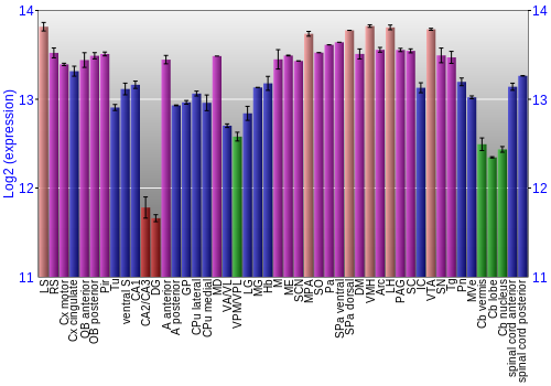Multi-state expression graph