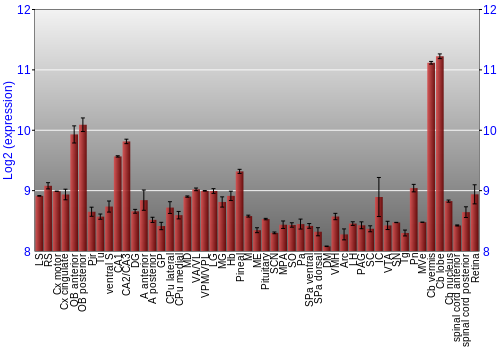Expression graph