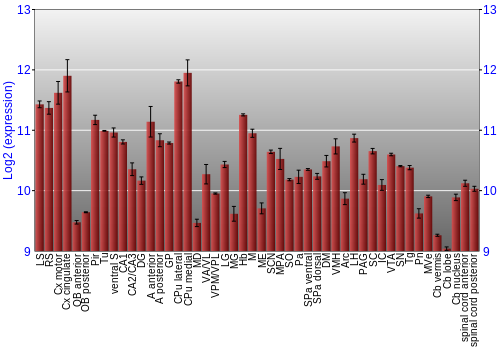 Multi-state expression graph
