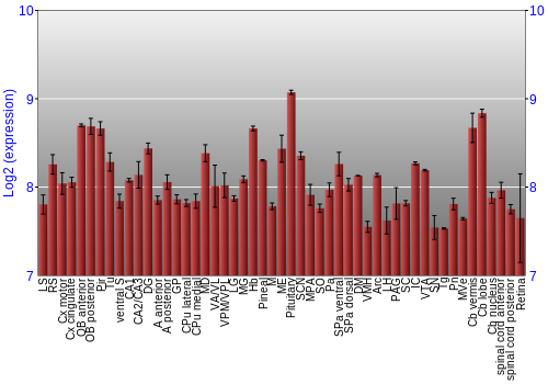 Expression graph