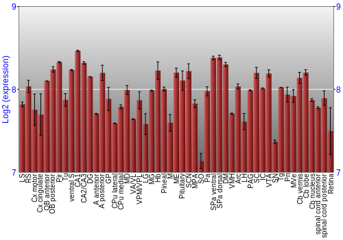 Expression graph