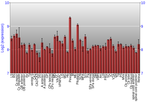 Expression graph