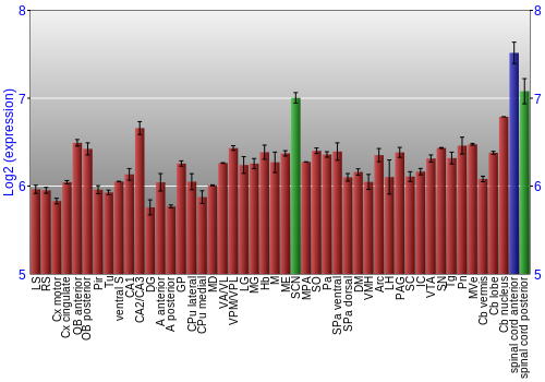 Multi-state expression graph