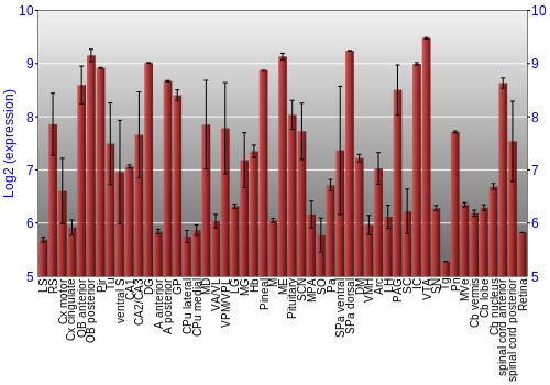 Expression graph