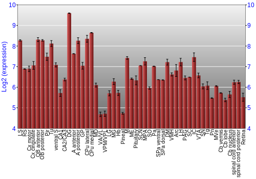 Expression graph