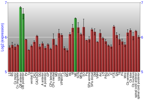 Multi-state expression graph