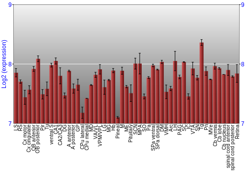 Expression graph