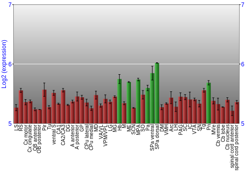 Multi-state expression graph
