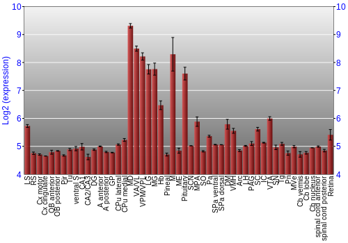 Expression graph