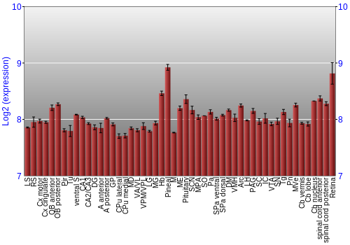 Expression graph